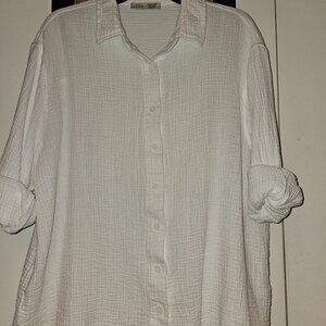DEX Brand White Blouse 2x (from Dillards)